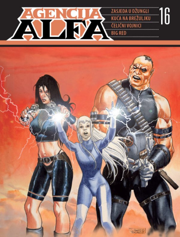 Agencija Alfa, 16. knjiga